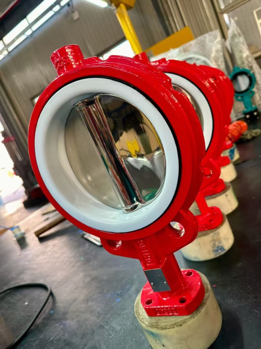 Fluorine lined butterfly valve with protected wetted surfaces